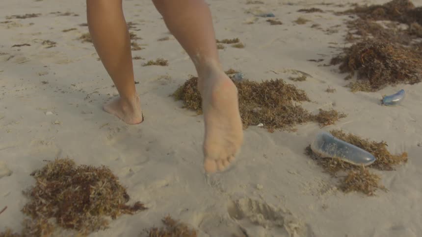 Couple At The Beach