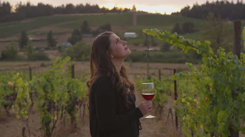 The woman is having wine in the vineyard