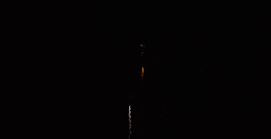Fireworks exploding in a dark sky
