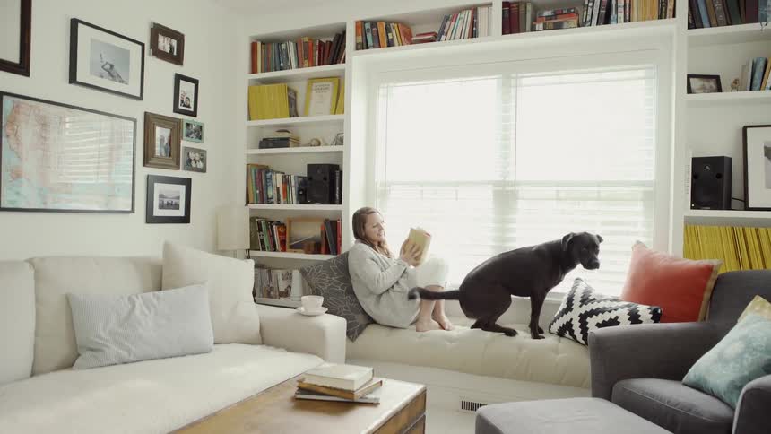 Woman sits on a couch with a book and pets a dog