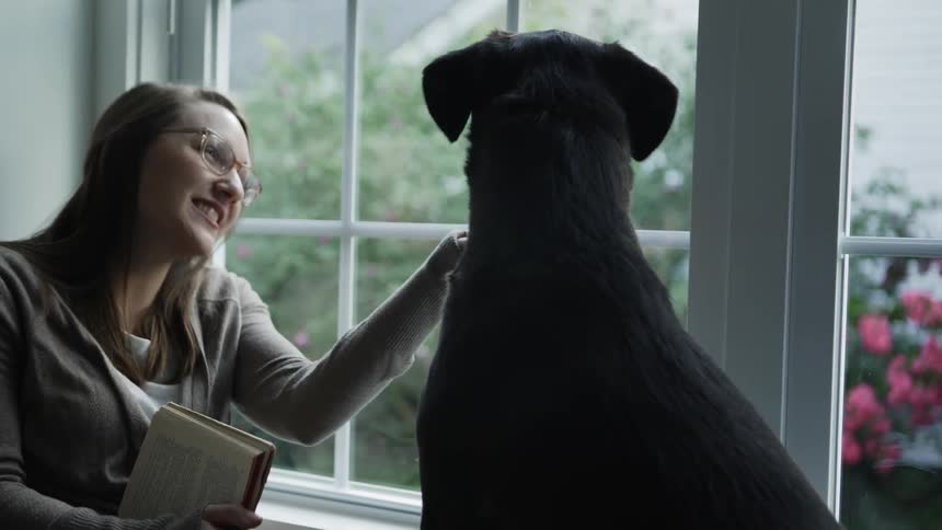 A woman and a man petting a dog and smiling as they sit in a window seat