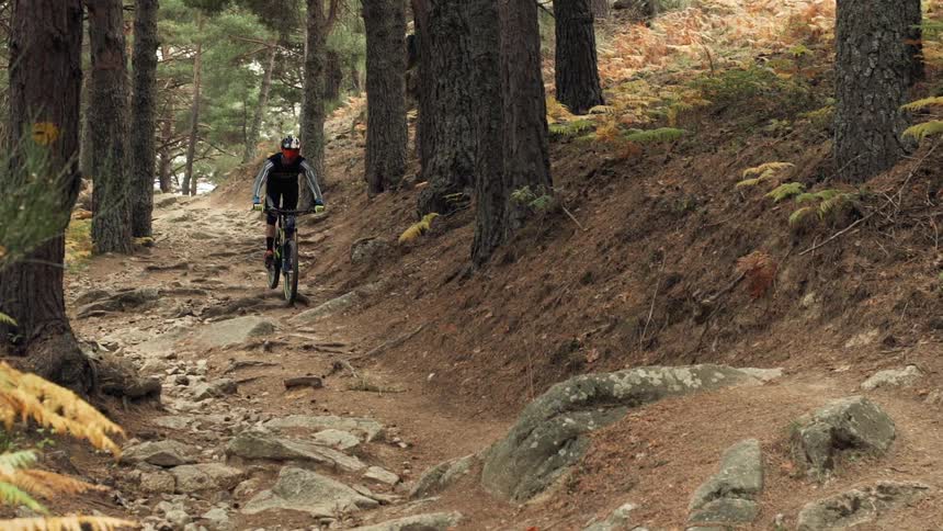 A man rides a bike over rocks in the woods