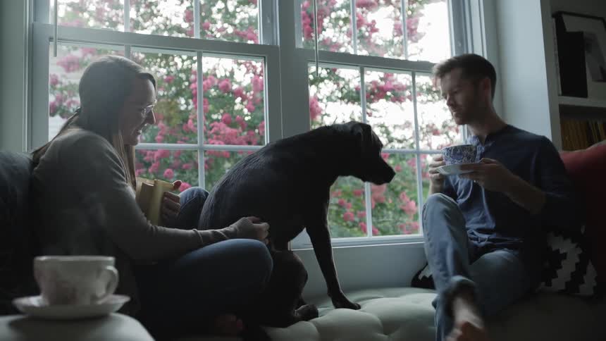Man and woman sit on a couch next to a window and the woman pets the dog