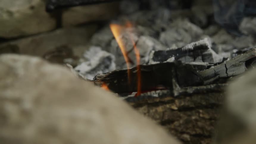 Wood burns in a fire pit