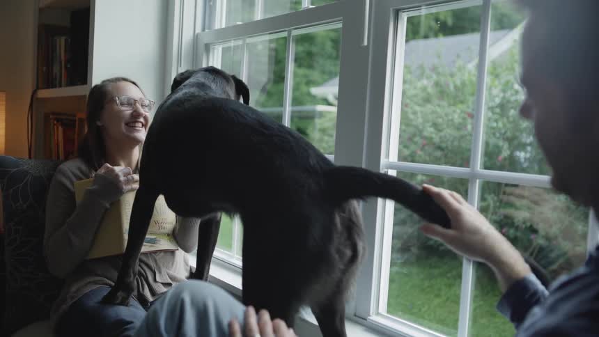 The man and woman pet the black dog