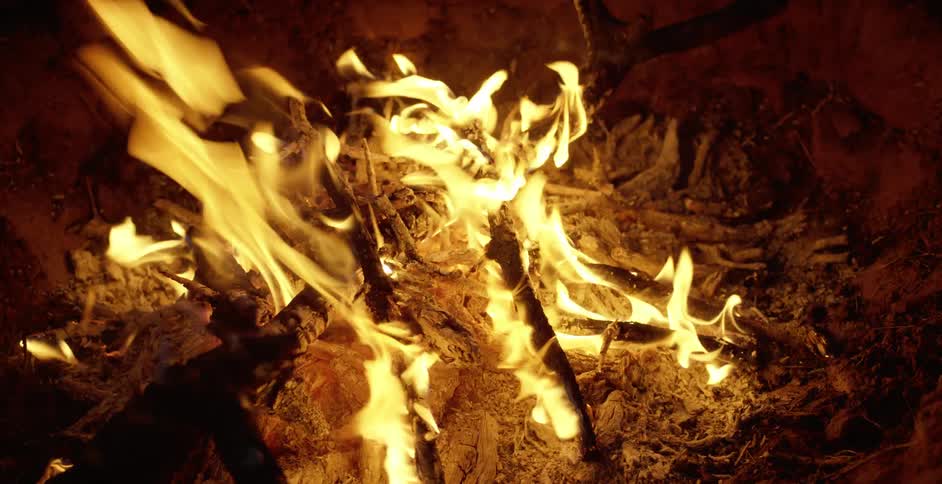 A campfire burning
