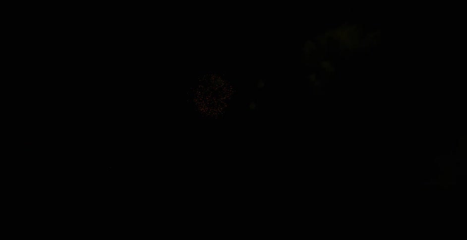 Fireworks exploding in the night sky