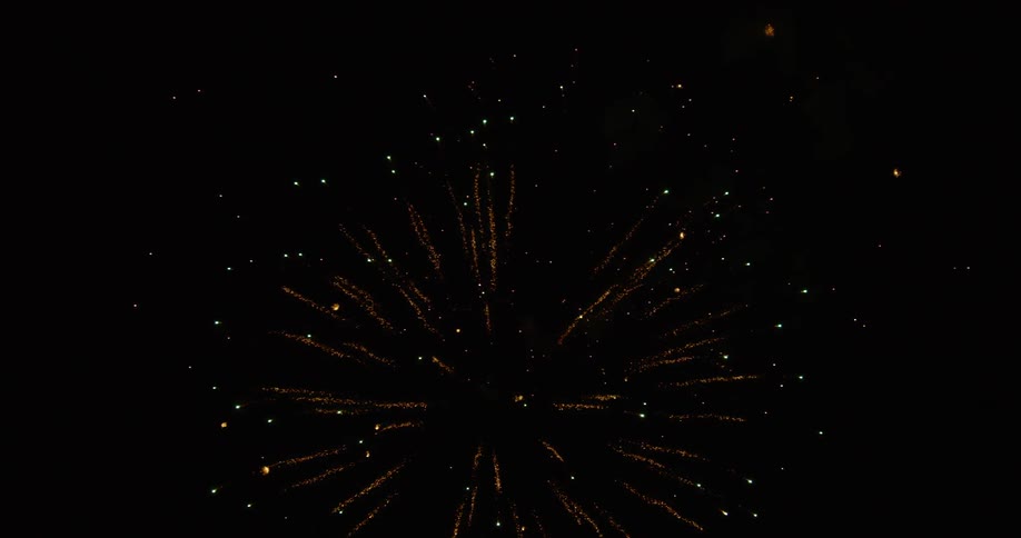 Fireworks light up the night sky
