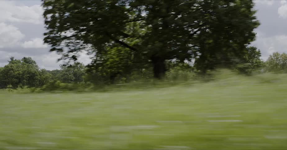 The green hills lead to the forest