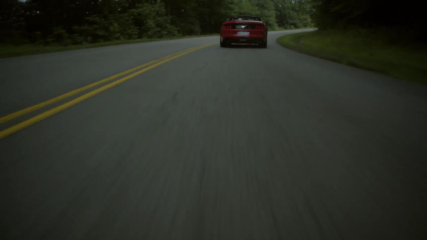 A car drives on a road lined by trees