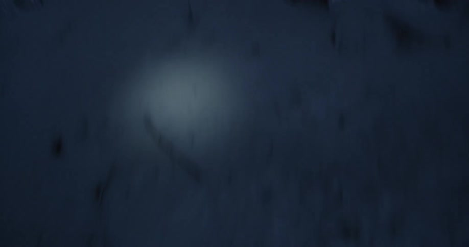 A flashlight shines on snow in a forest