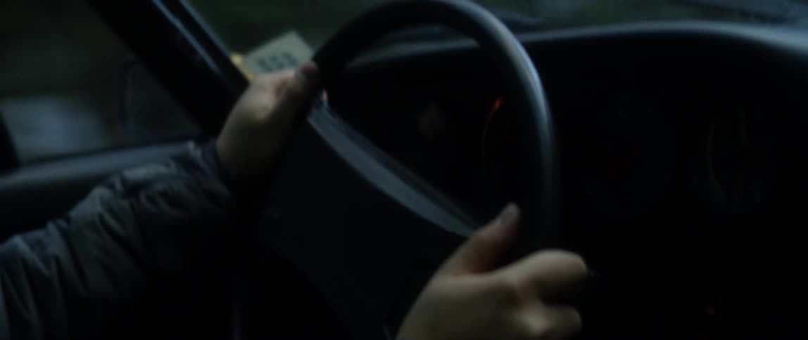 A driver rests both hands on the steering wheel
