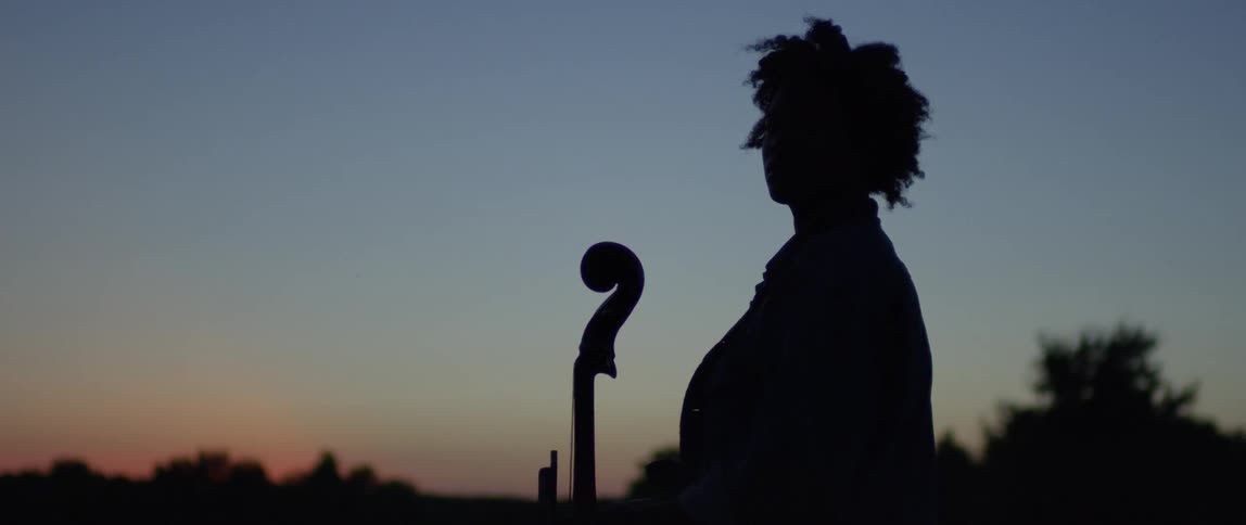 Man stands outside with a cello at sunset