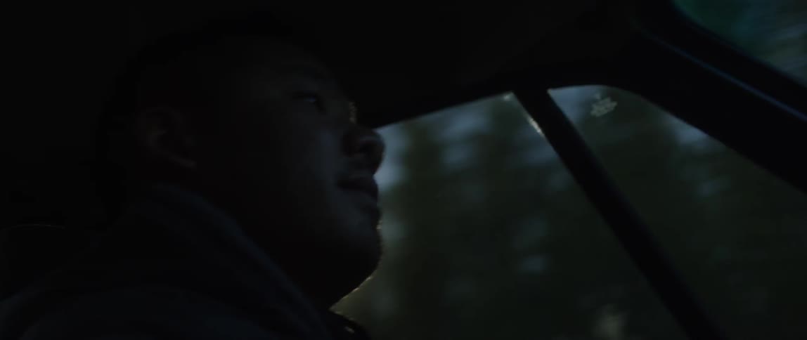 A man drives by tall trees