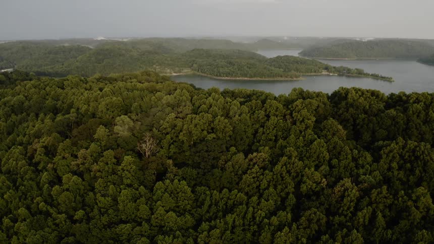 Lake Aerials
