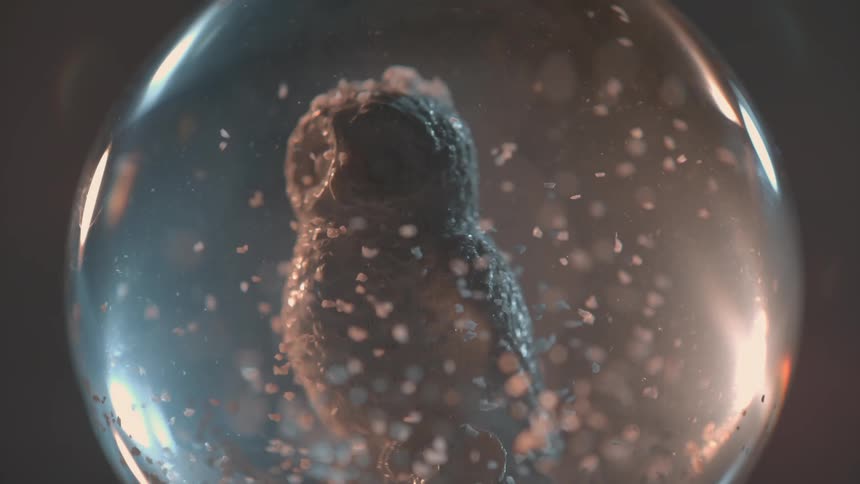The snow globe has snow falling over an owl