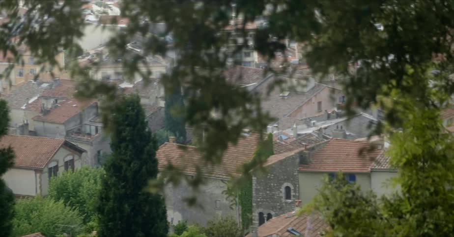 Rooftops and buildings are visible through tree branches on a hill