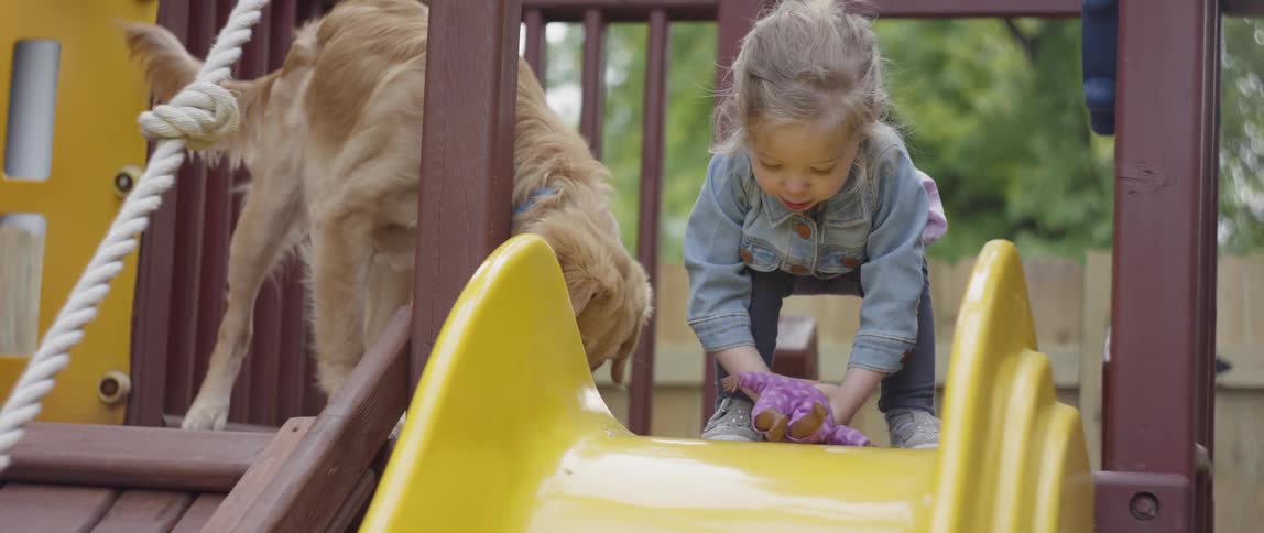 Little Girl Playing With Dog Outside