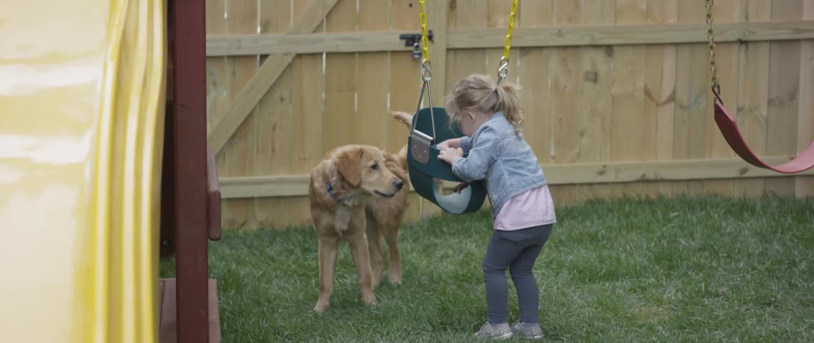 The dog walks around the girl as she gets on the swing