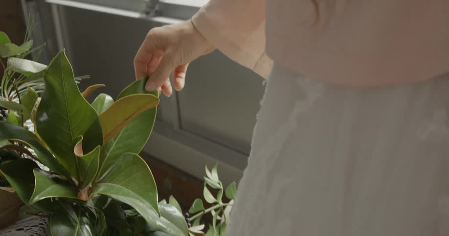 A woman rubs a plant leaf
