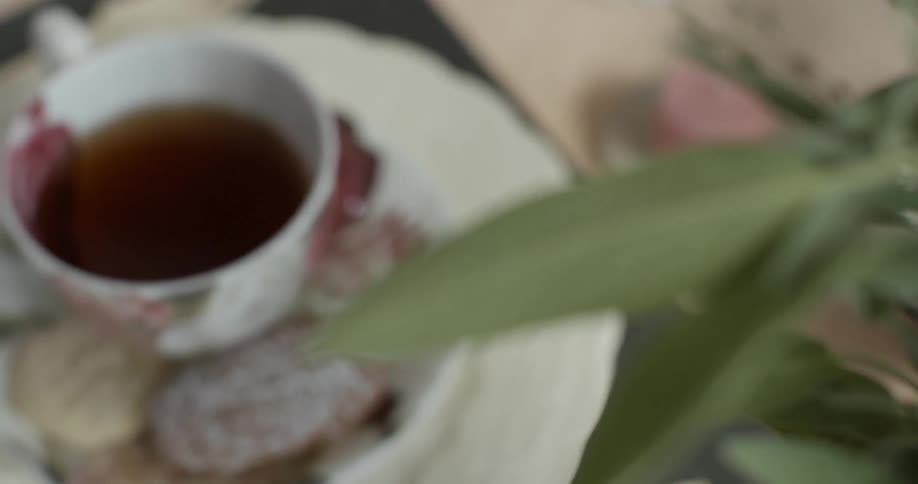 A cup of tea and cookies sit next to a plant