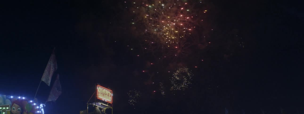 The fireworks explode in the night sky