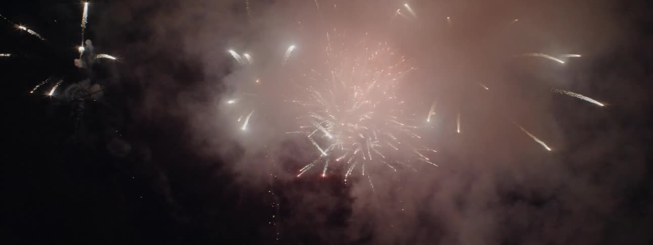 Fireworks explode in the night sky