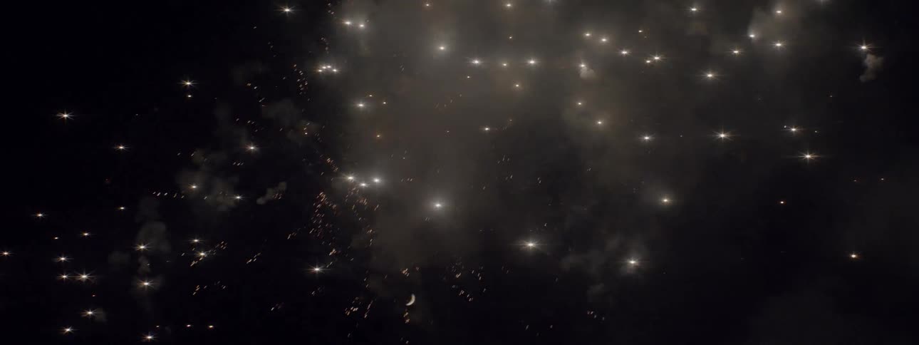Fireworks explode in the dark sky