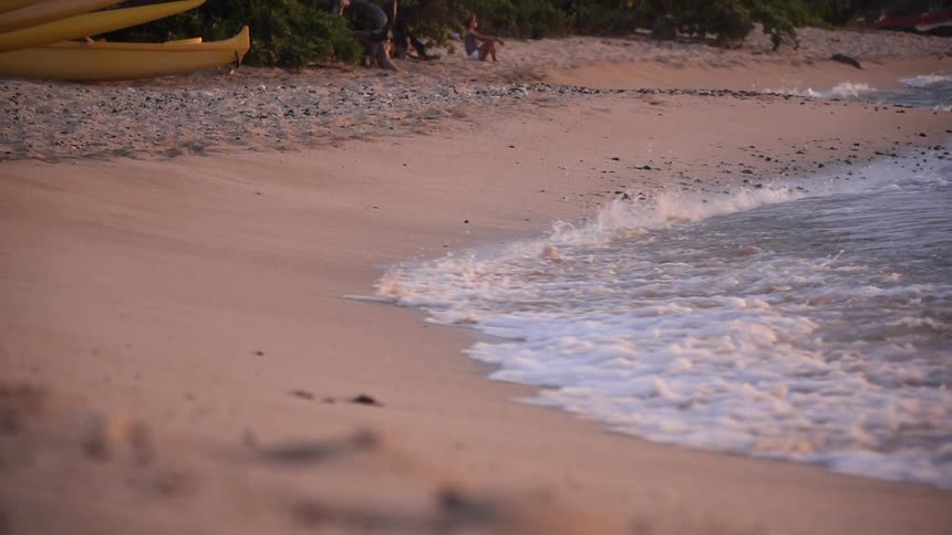 A waves is crashing and rolling across the beach in daylight