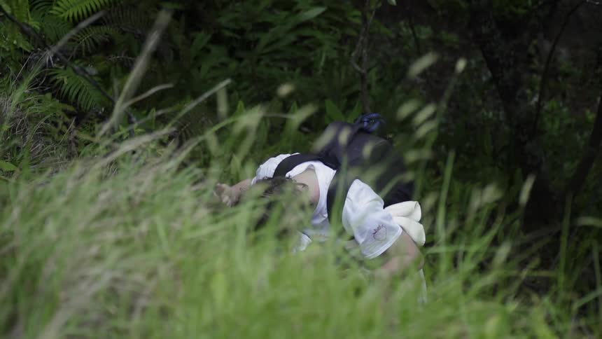 A hiker holds onto ropes as he climbs a steep grassy incline