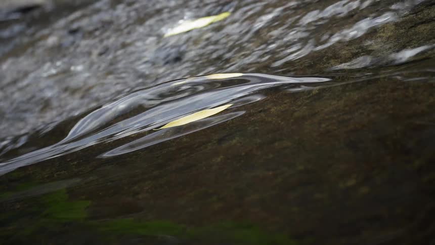 River water flows over a rock