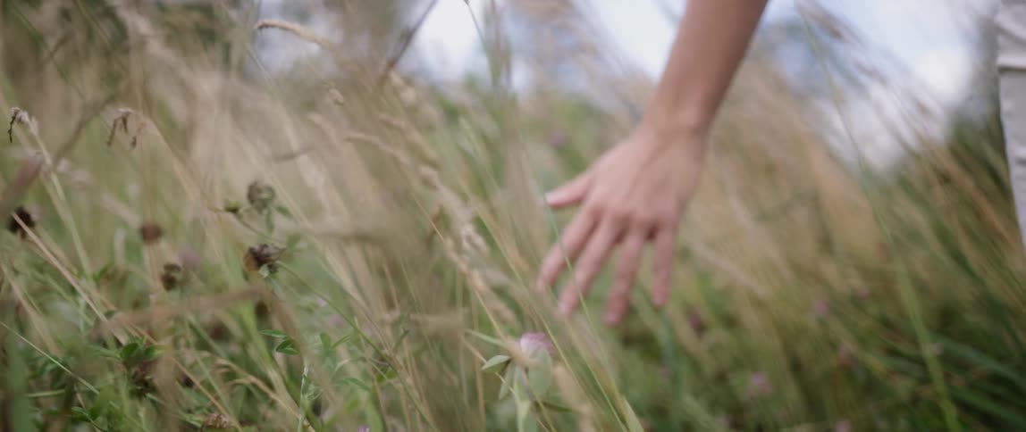 Woman Exploring Woods With Camera