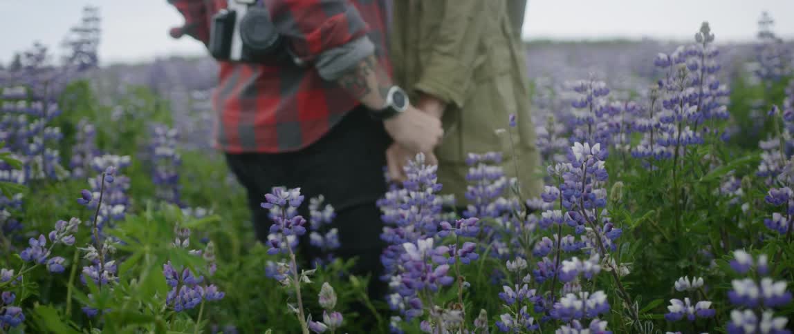 The couple hold hands in the flower covered field