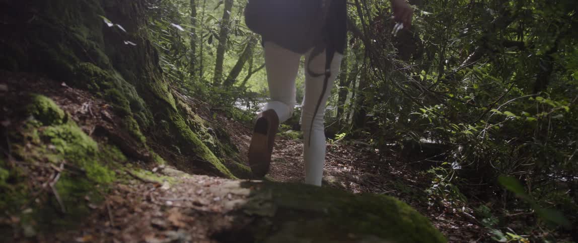 Woman Exploring Woods With Camera