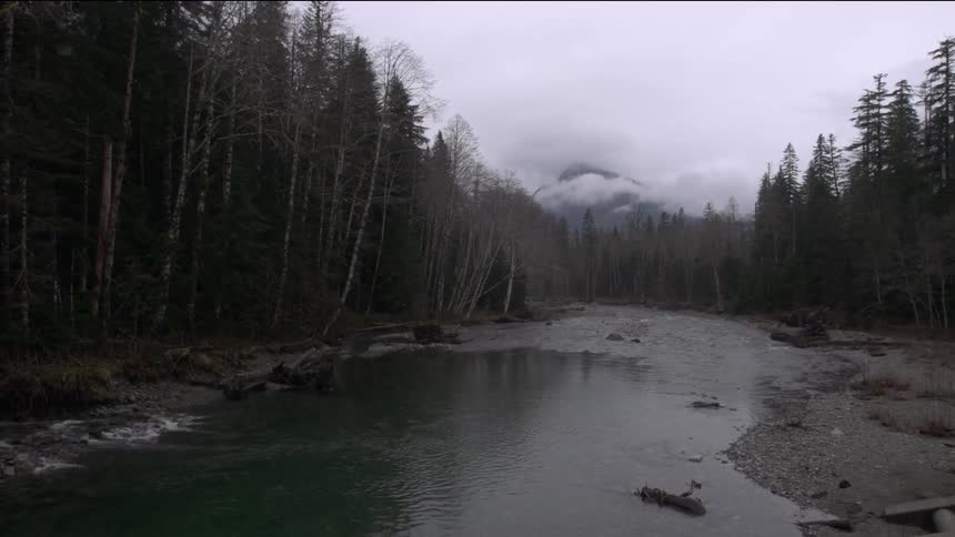 A shallow river running through a forested area with mountains peaking through clouds in the background