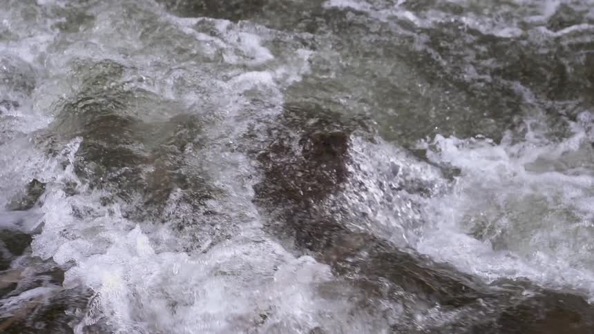Water rushes over rocks