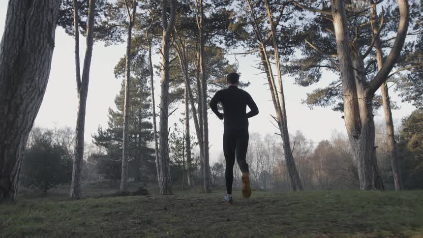 A man jogs alone in a forest