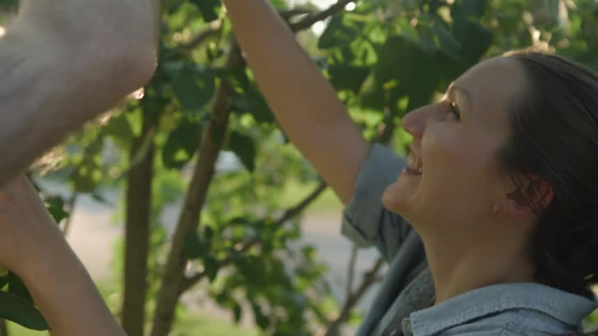 Woman and man prune branches of a tree