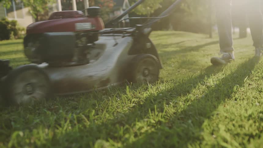 Man pushes a lawn mower across the grass on a bright sunny day