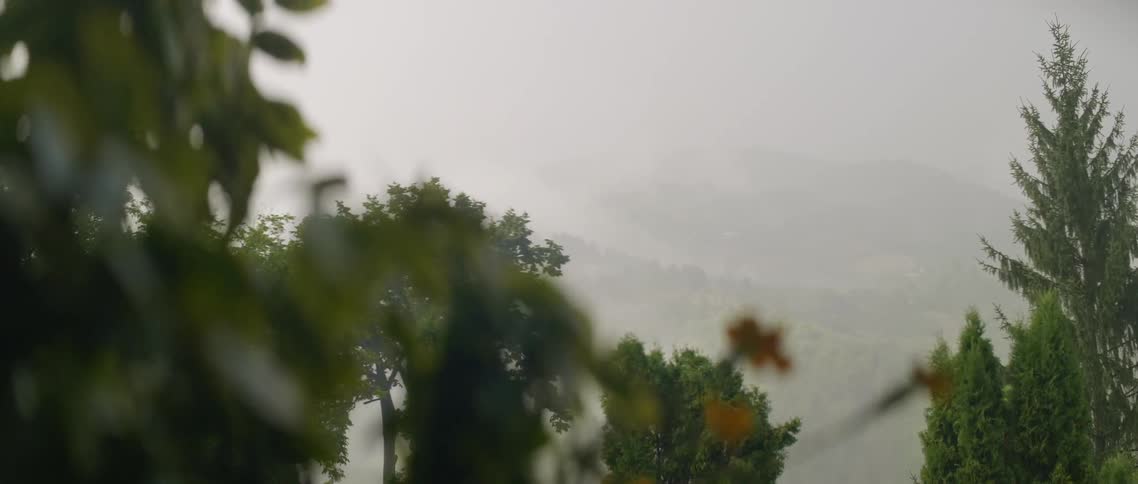 The hills ahead are covered in thick fog