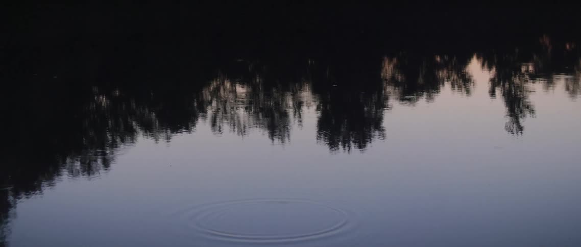 Raindrops on a lake at dusk