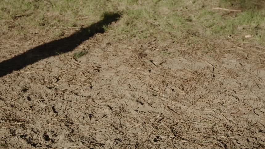 Man Running Through Forest And Dunes