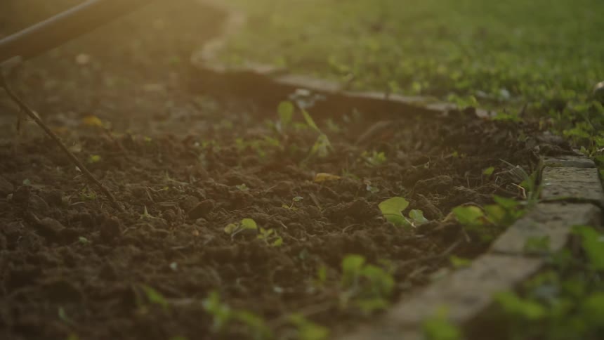 The person is raking the soil