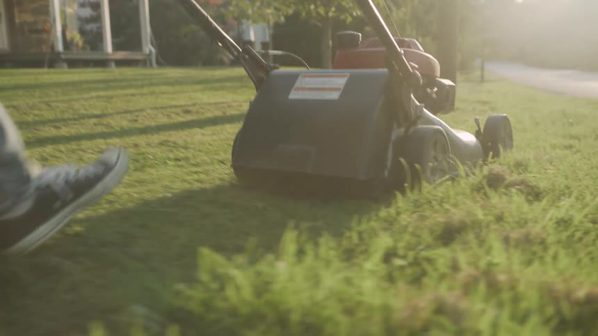 The lawnmower is being pushed in the yard