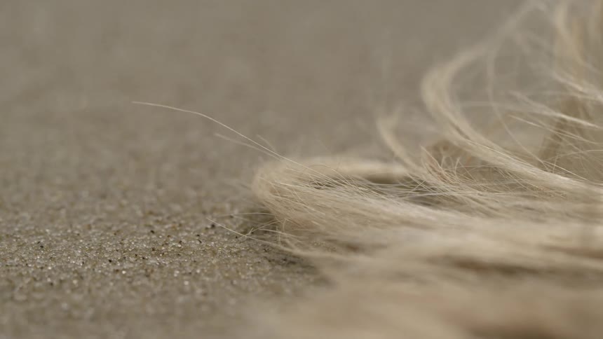 Blond hair lies on a sandy surface