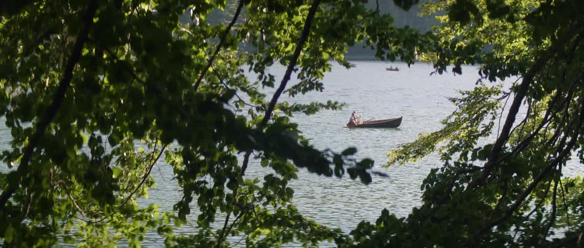 Tree branches on shore blow in the wind as a boat rows by