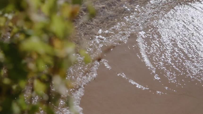 Sun shines down as water splashes over sand