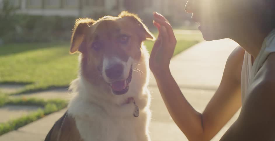 The woman talks with her dog while petting him