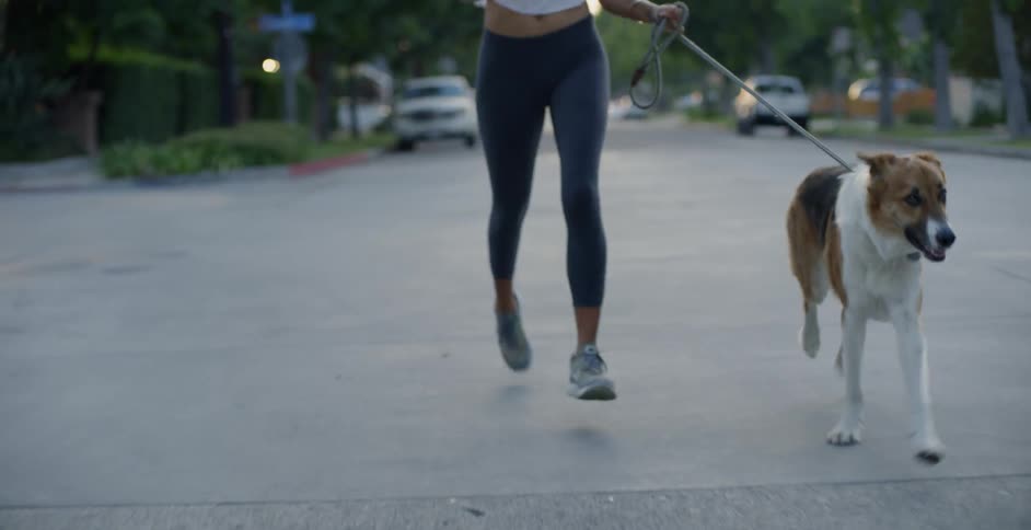 Woman Jogging With Dog
