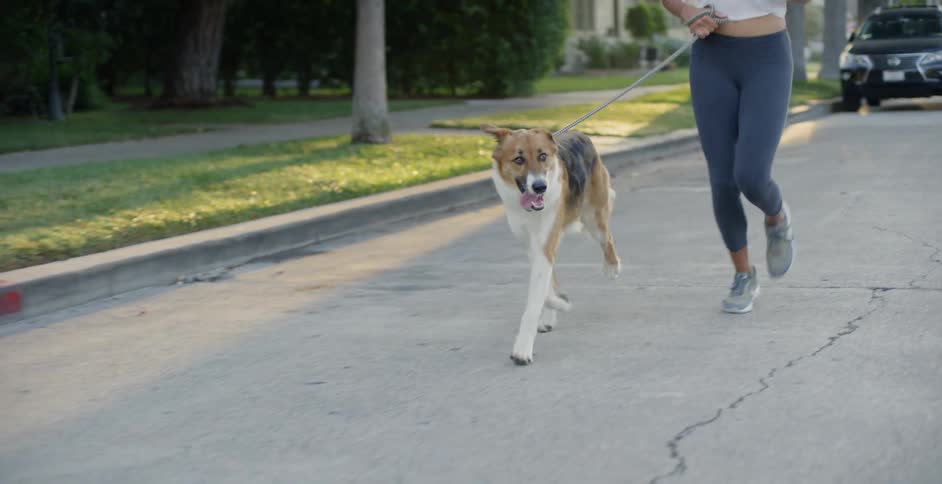 Woman Jogging With Dog